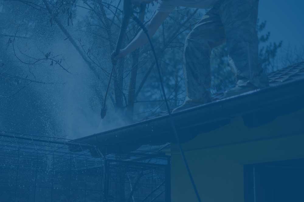 Gutter Cleaning