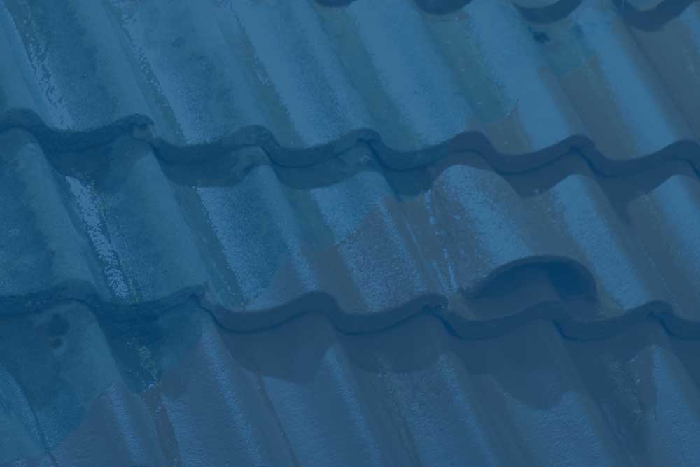 Roof Cleaning